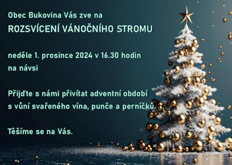 Rozsvícení vánočního stromu 2024
